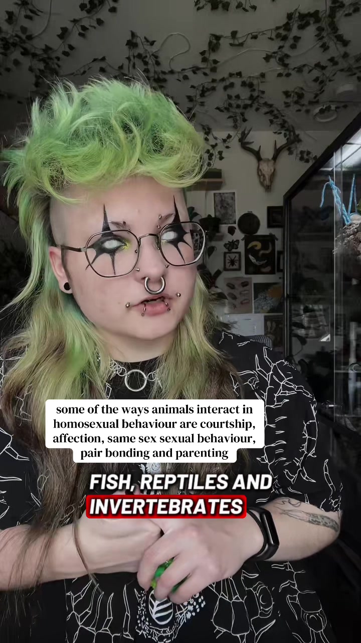 @vesper (he/xe)