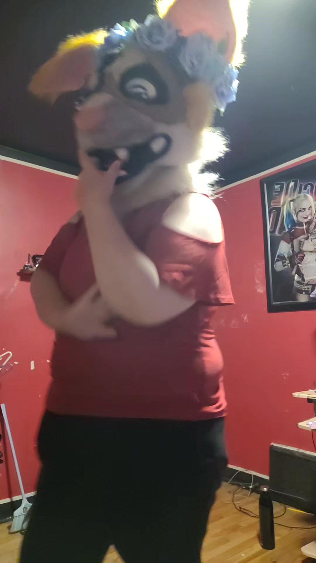 @❤️Sorin-Canfurence