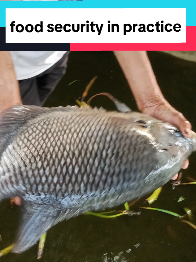 @tukik 🐢