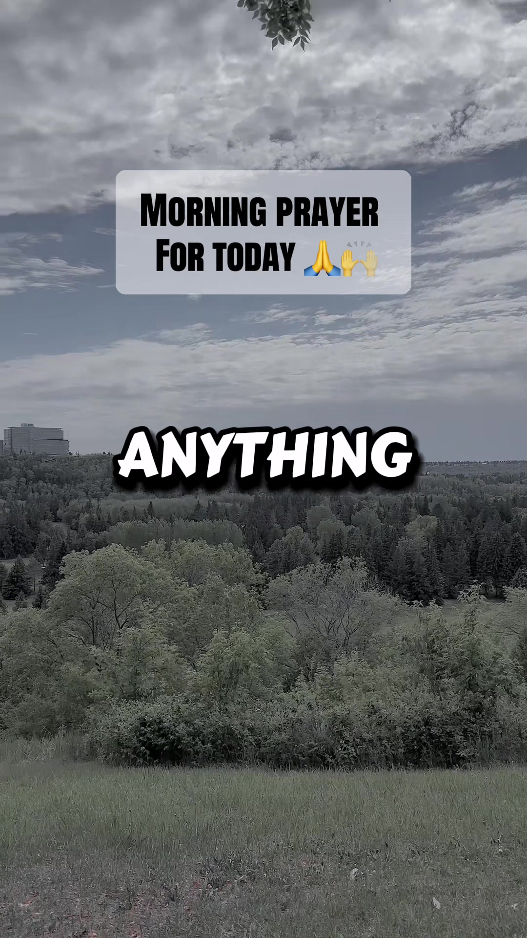@Tryannjackal 🇨🇦