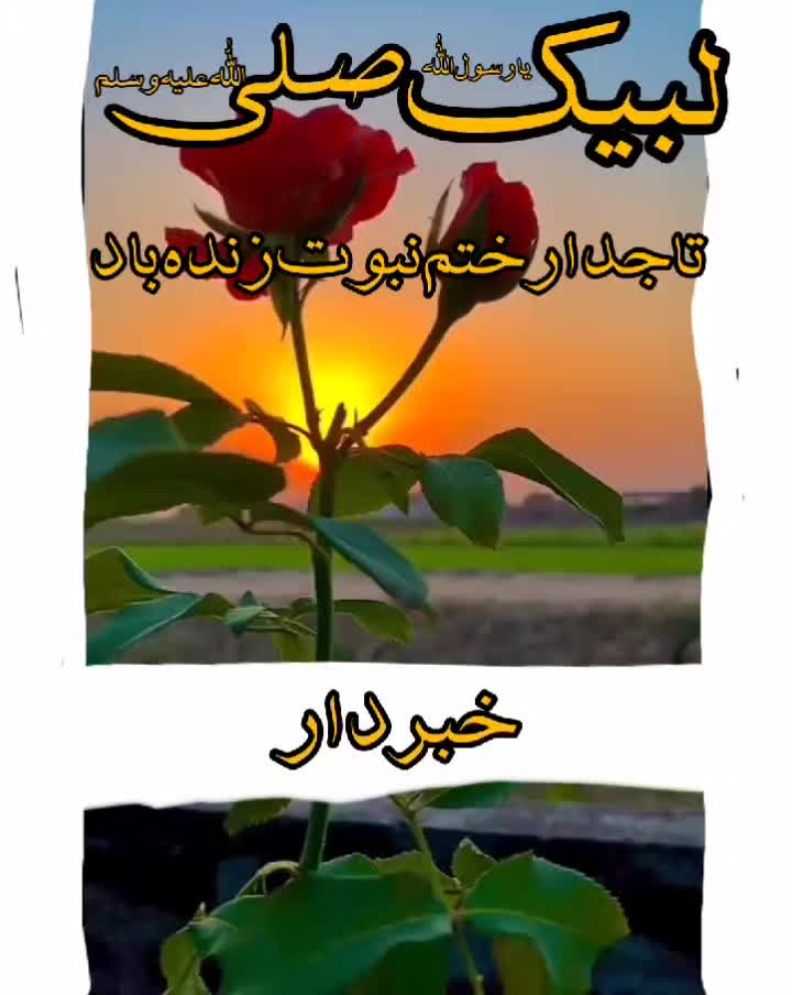 @Uzair edits15