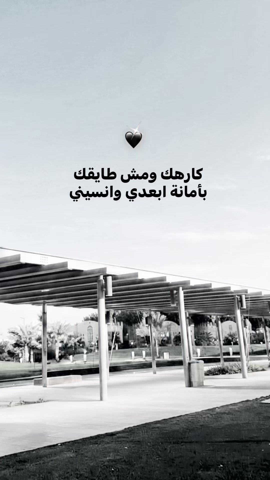 @✨الحته اللي بتشدك ف الاغنيه✨