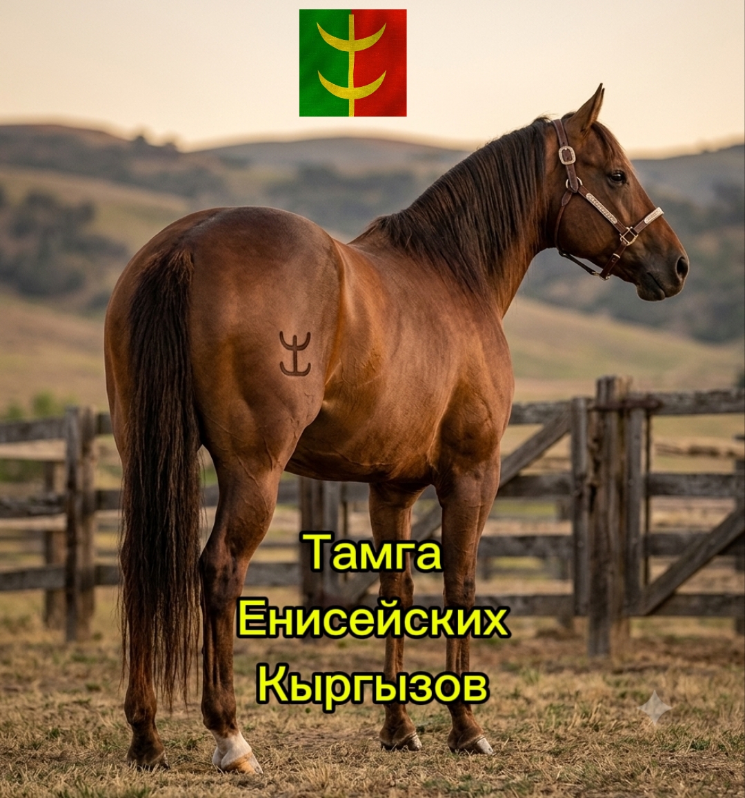 @ҚРҒЗ🇰🇬𐰴𐰺𐰎𐰕