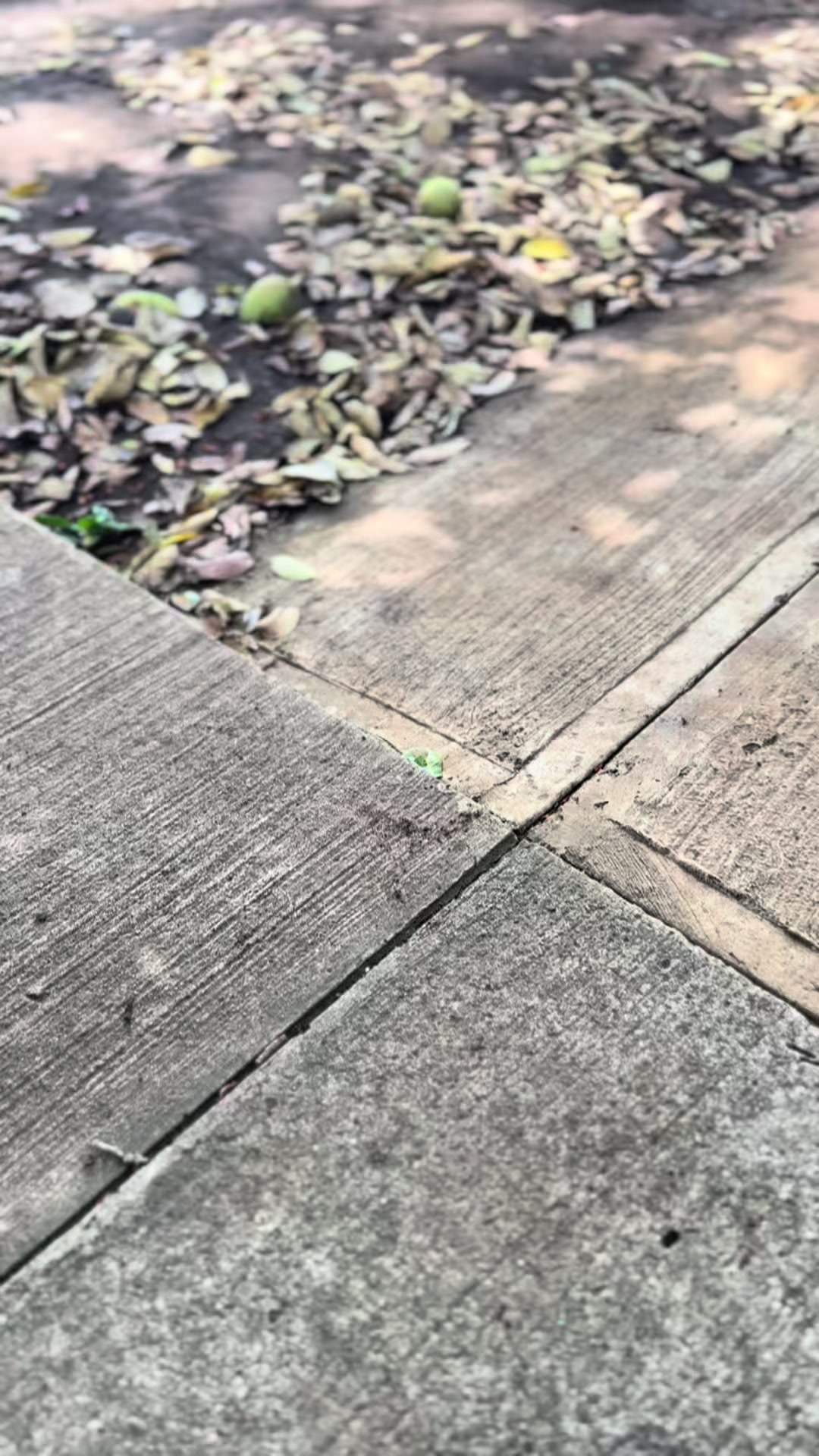 @𝑵𝒐𝒗𝒂x777🕷️