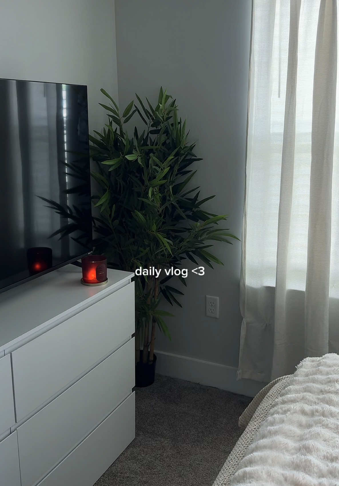 @L A N I I  Y K O I A