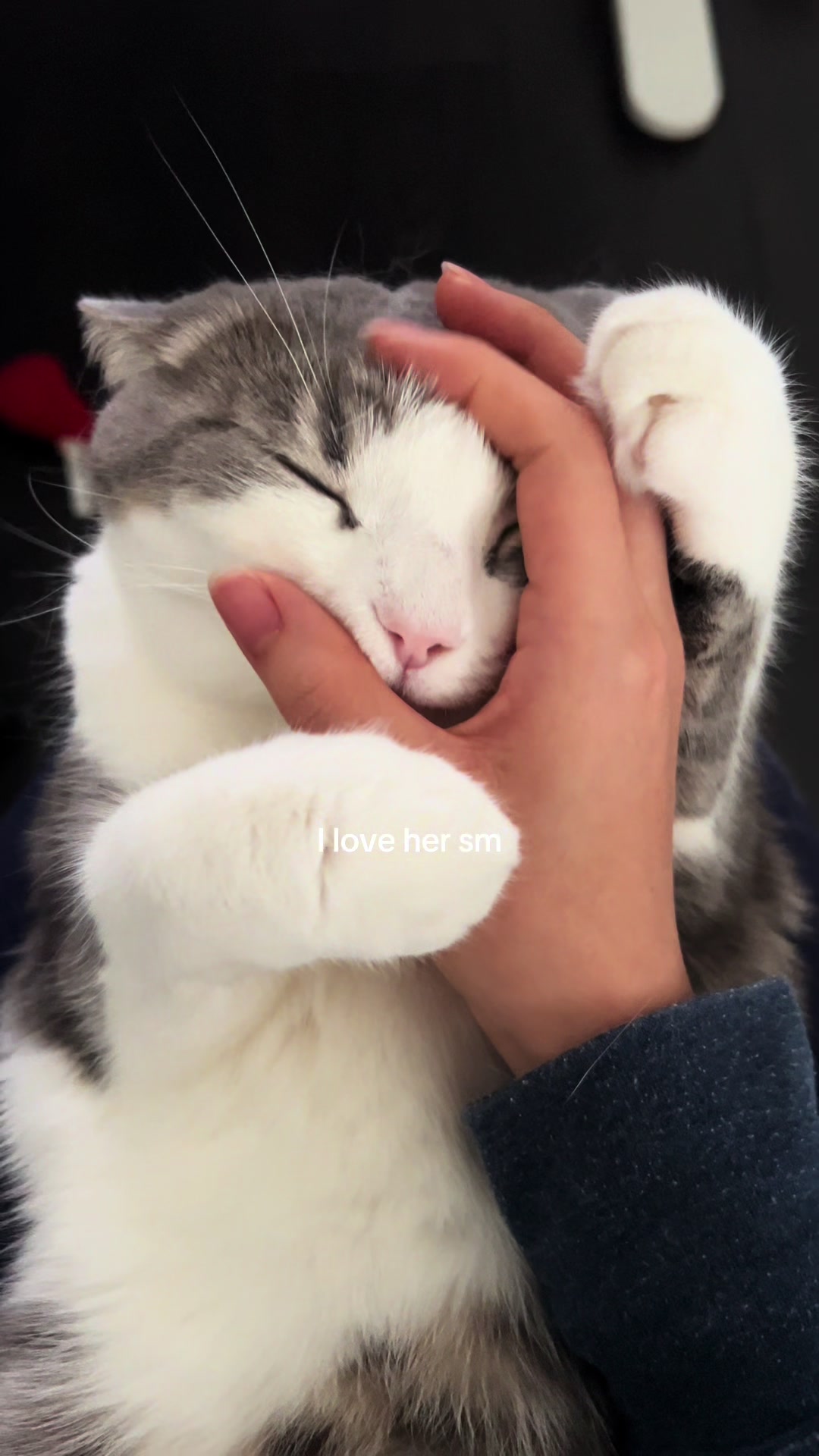 @Jiingie