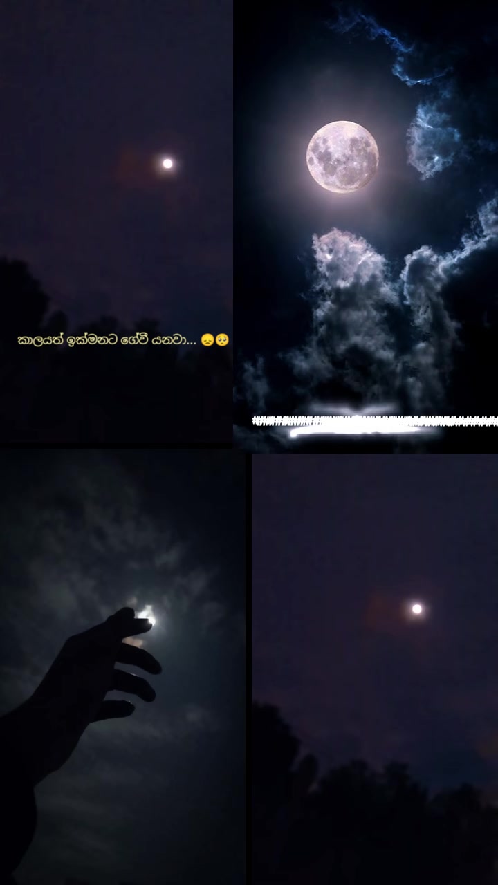 @𝔰𝔥𝔢𝔥𝔞𝔫...21y̸❤️&zwj;🩹🍃