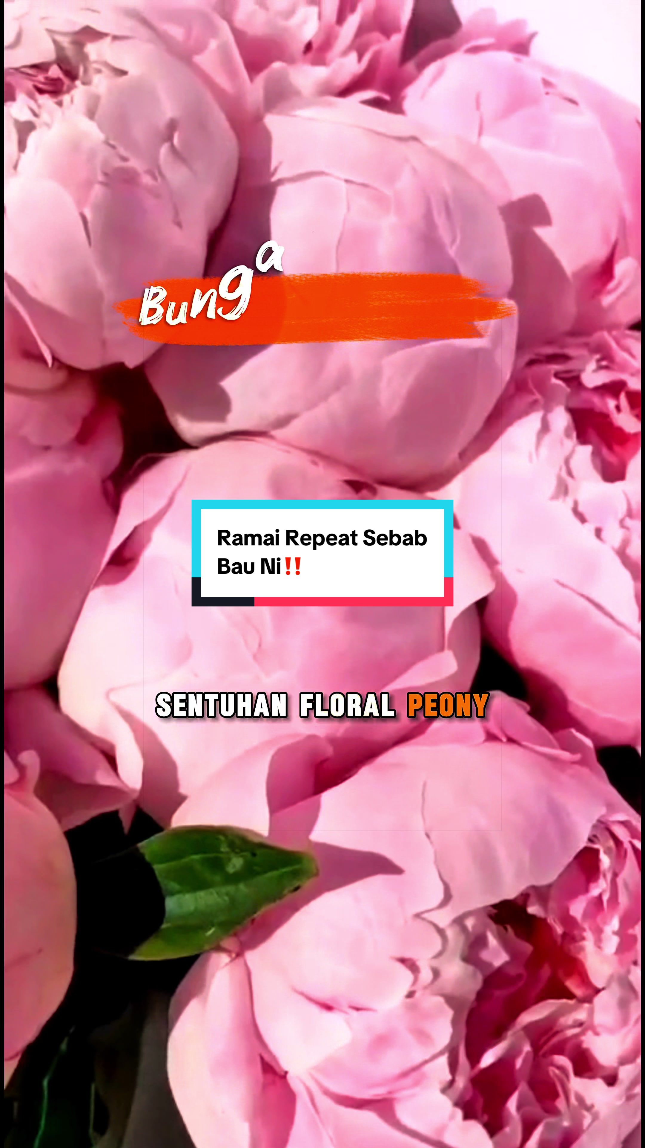 @DNAZR PERFUME