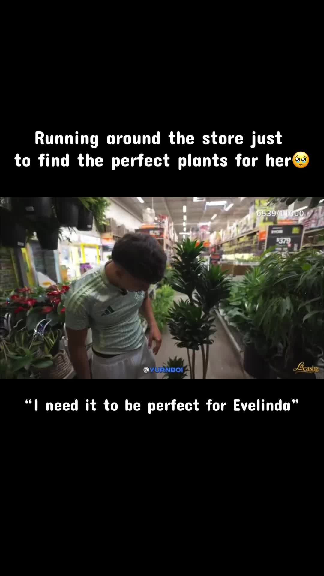 @jeve.vault