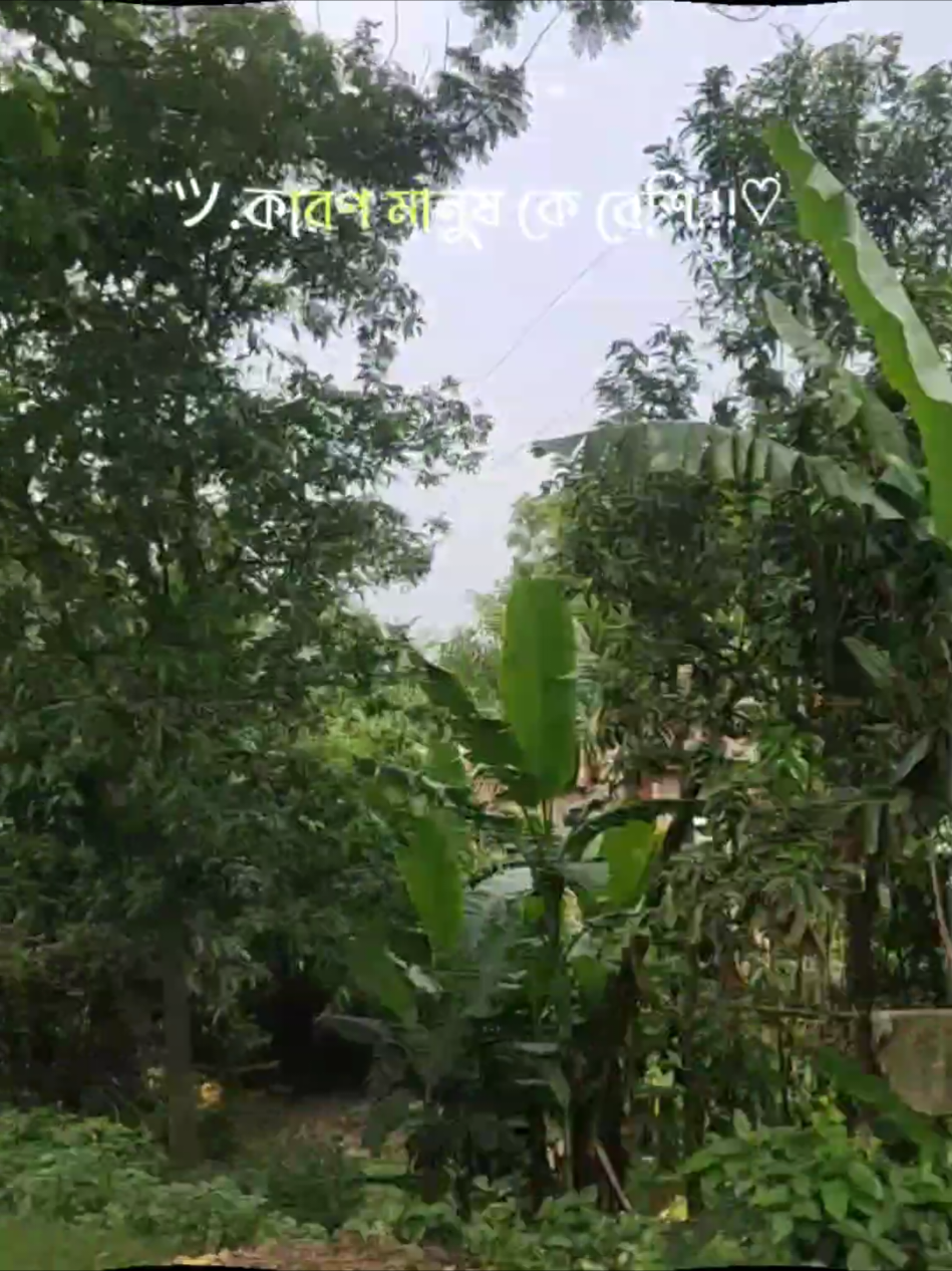 @✅❤️মতিউর❤️✅