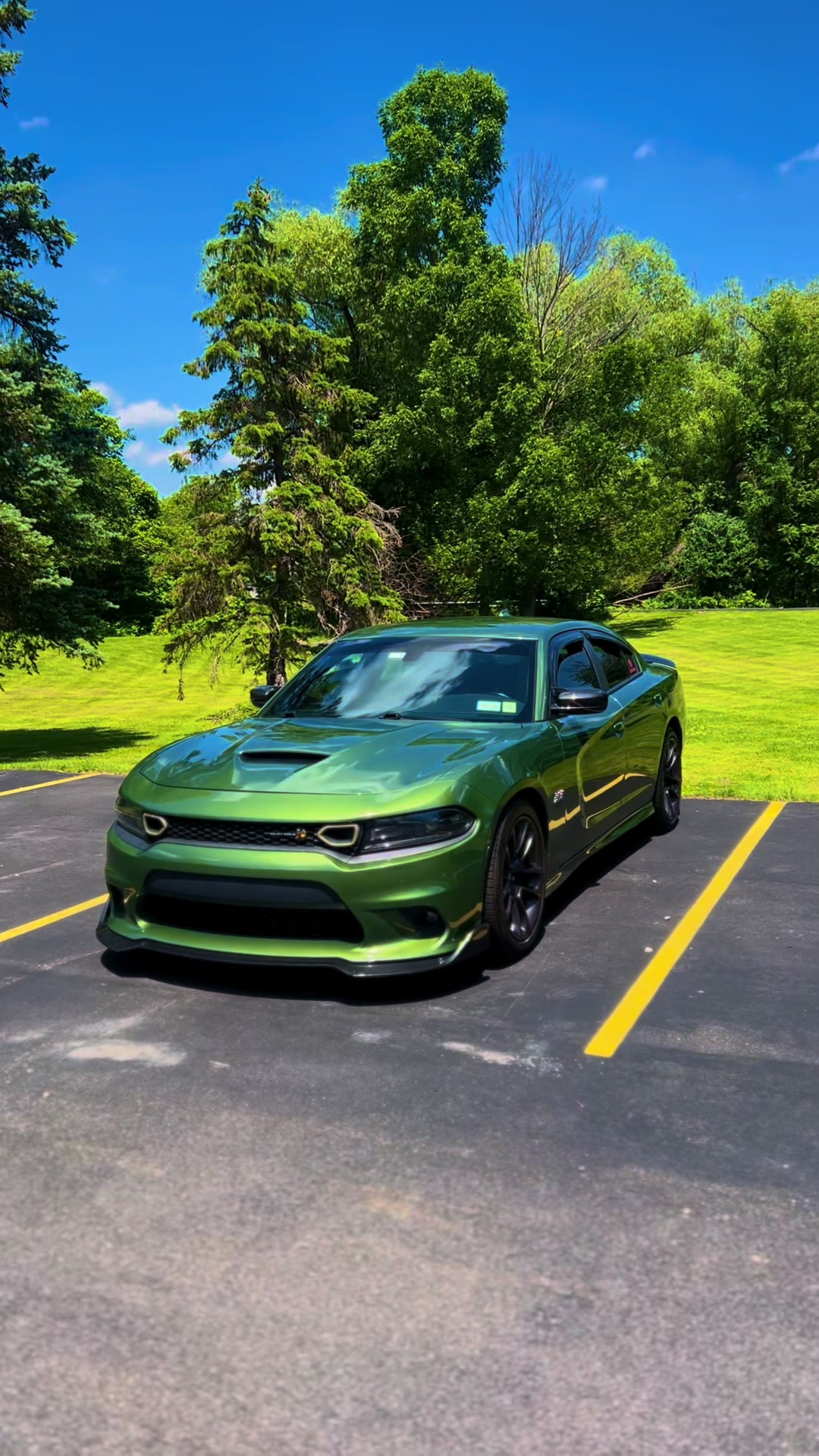 @392Predator