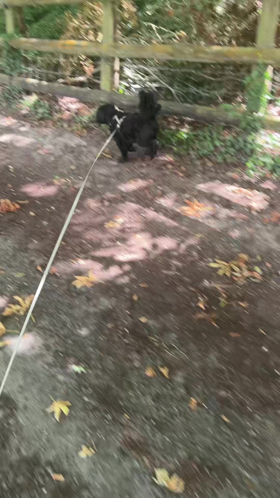 @tswoofwoof.co.uk