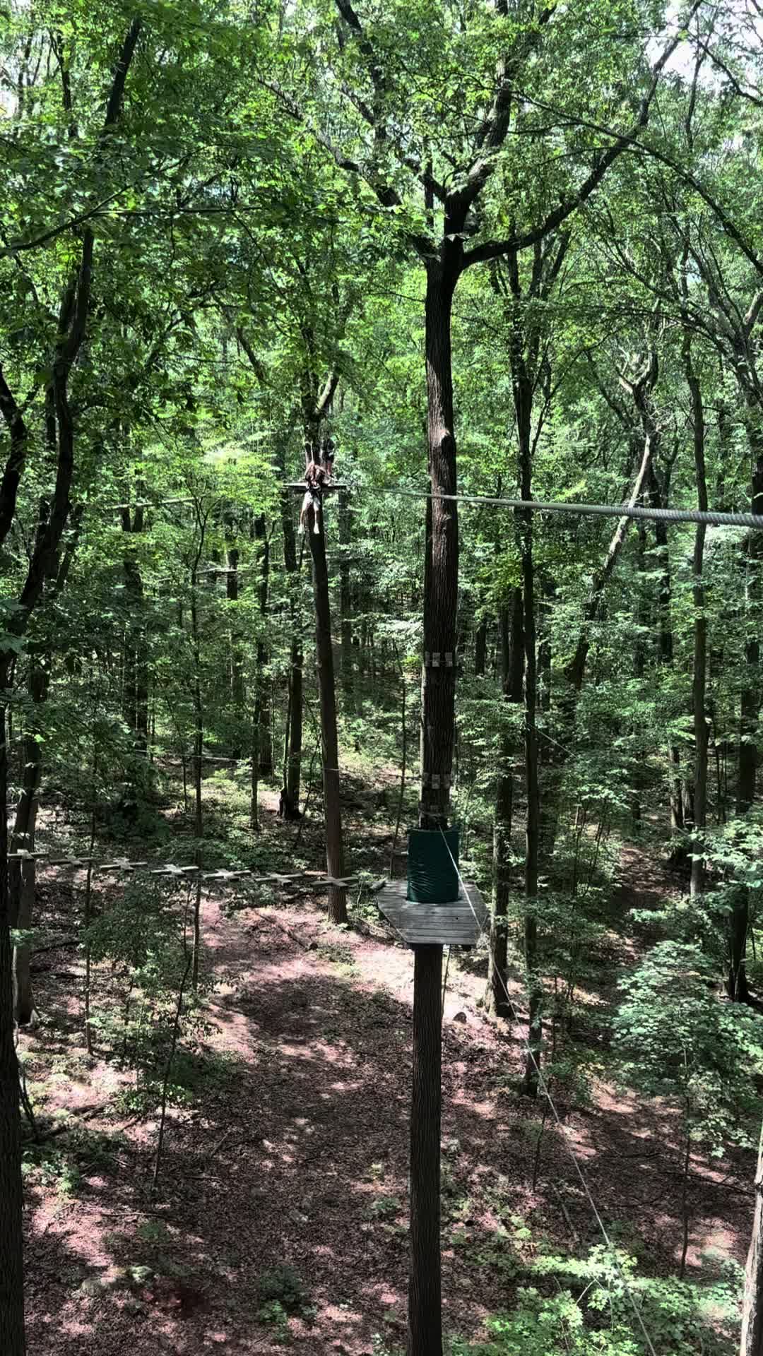 @flgxNJ
