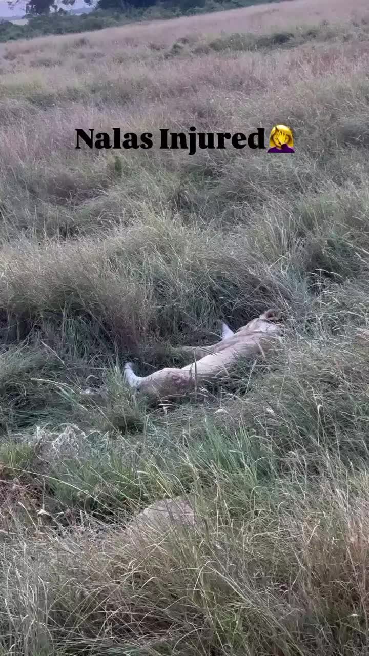 @Албена Граминова