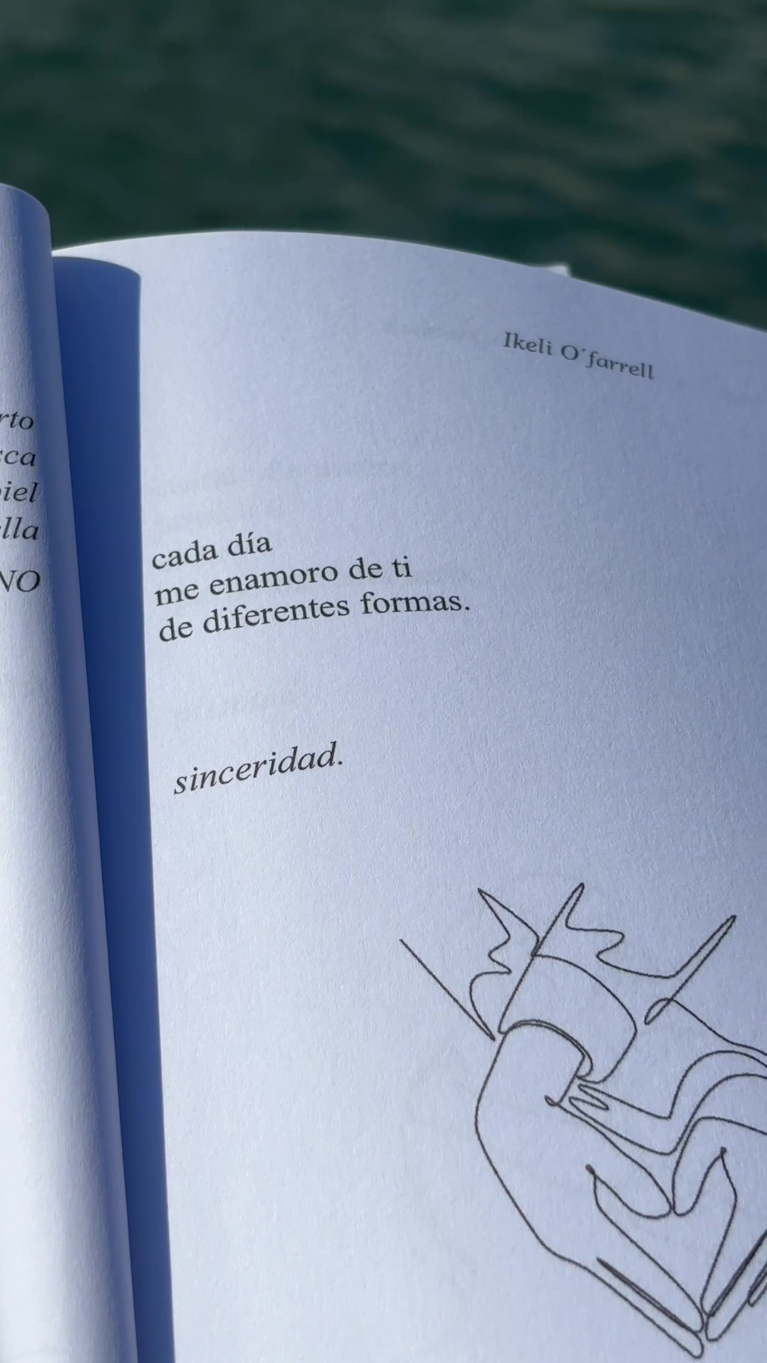 @Ikeli O&rsquo;Farrell (El escritor)