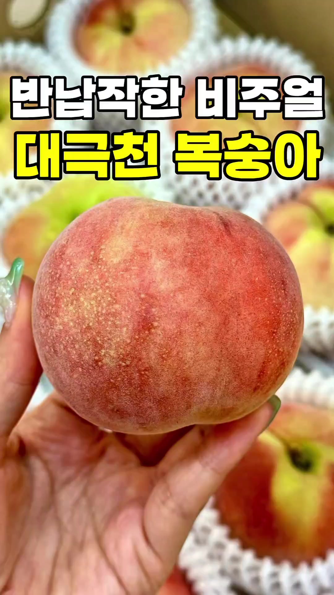 @싱싱햇 - 365일 싱싱한 햇 제철 먹거리