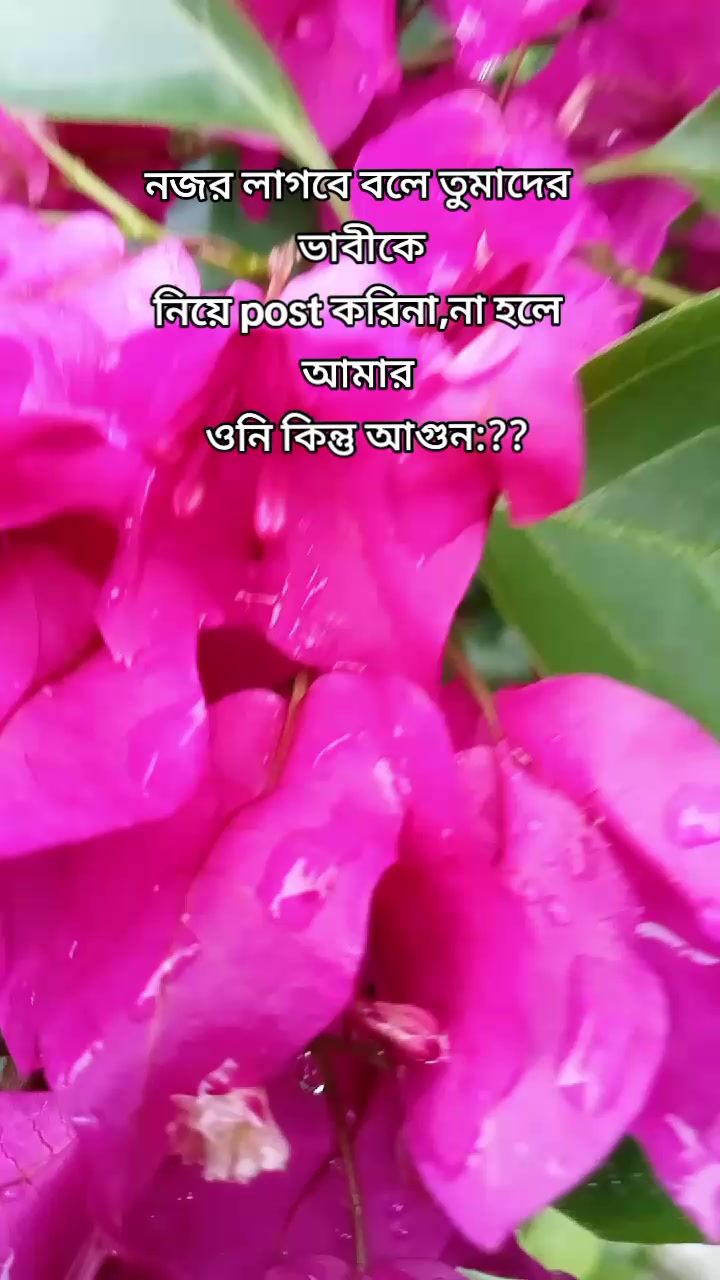 @sohel editz😎✅