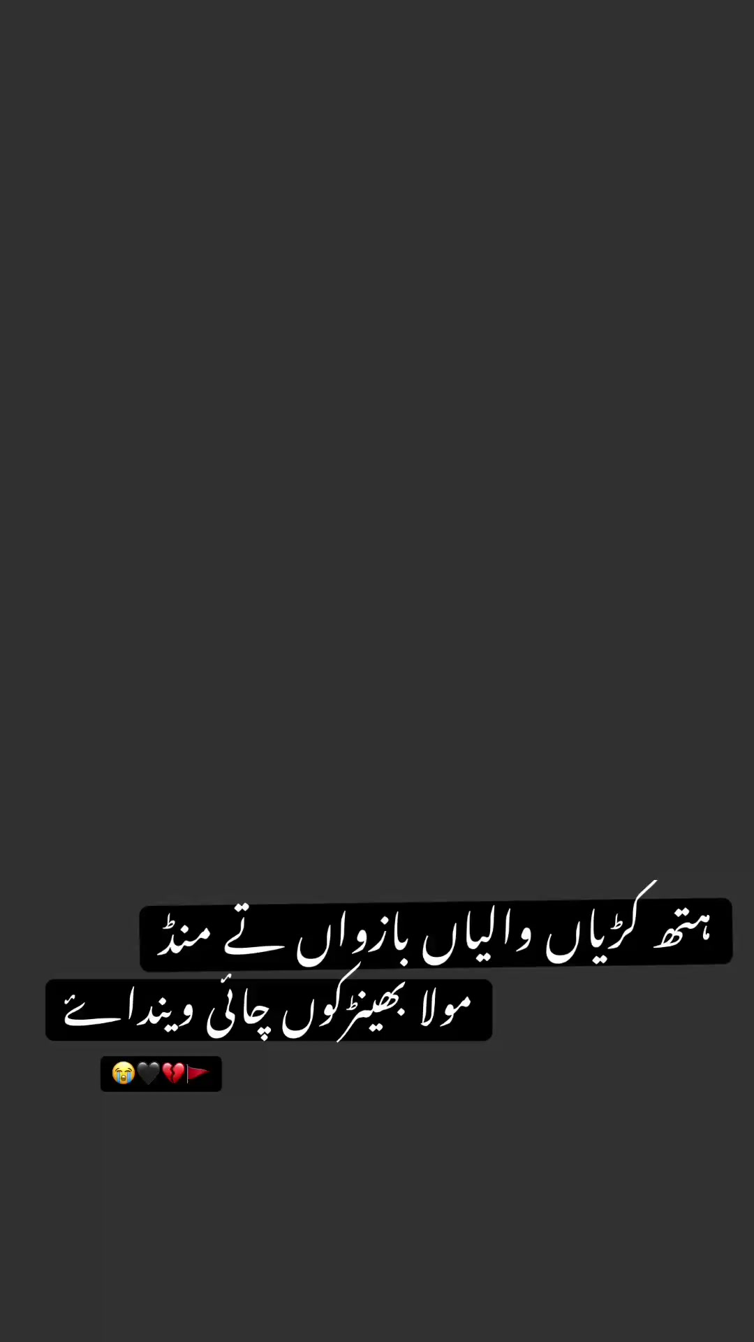 @Feeni 🖤