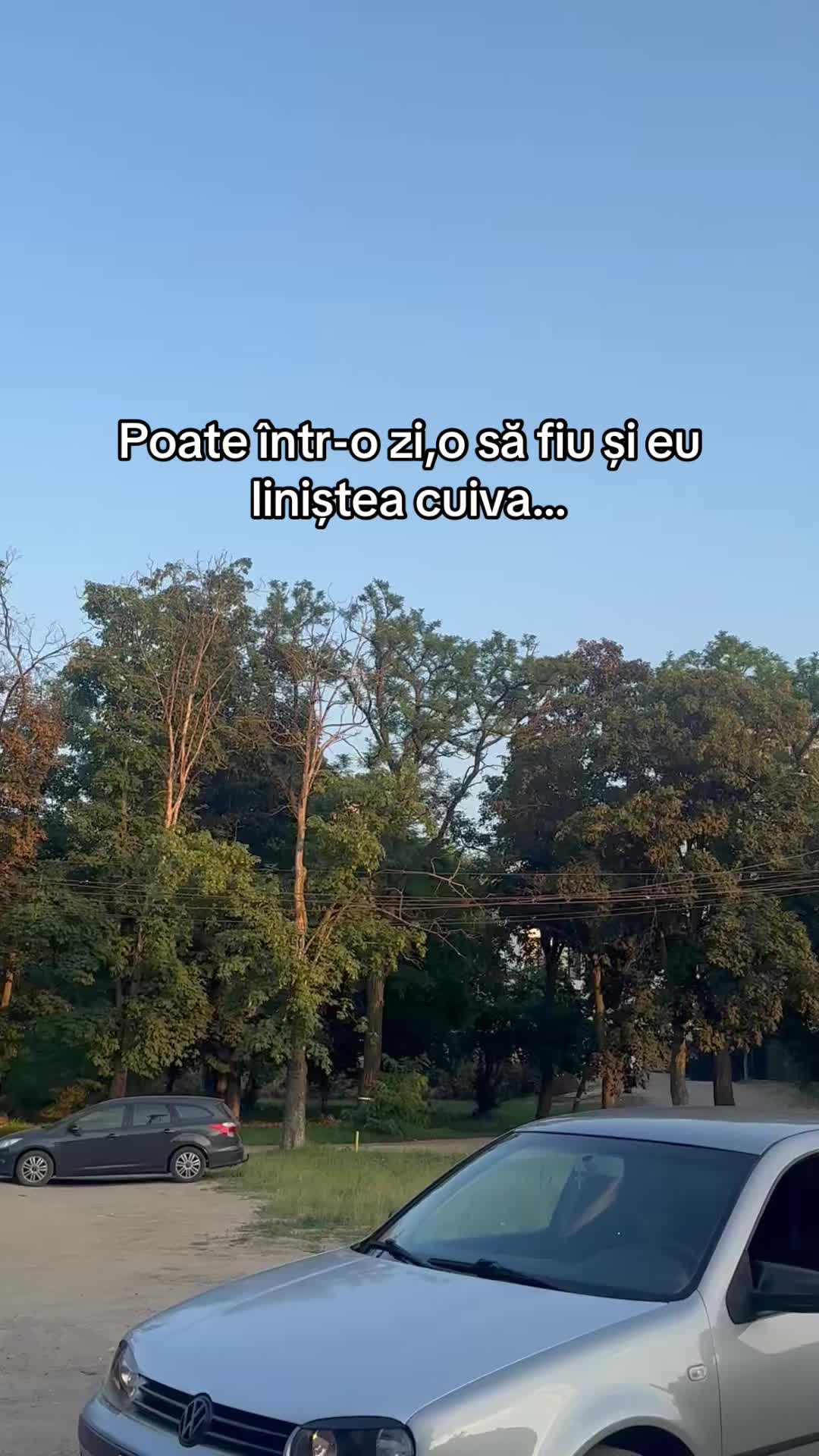 @gabitzu