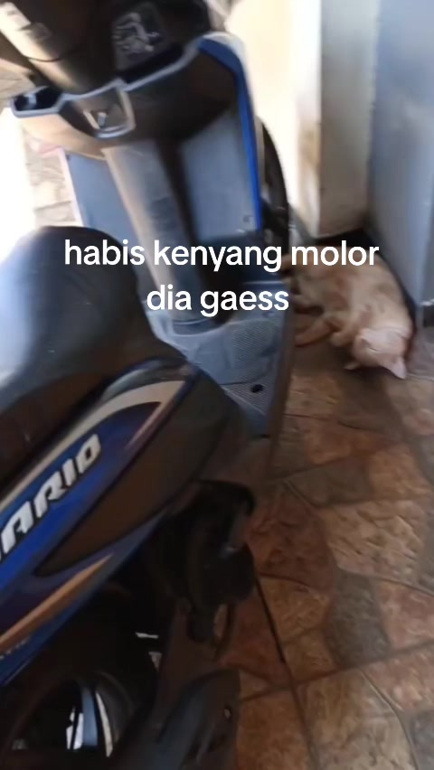 @sejaterashop