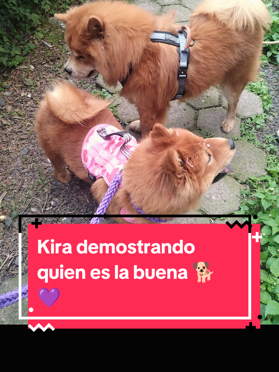@Lizzi VzM🦋