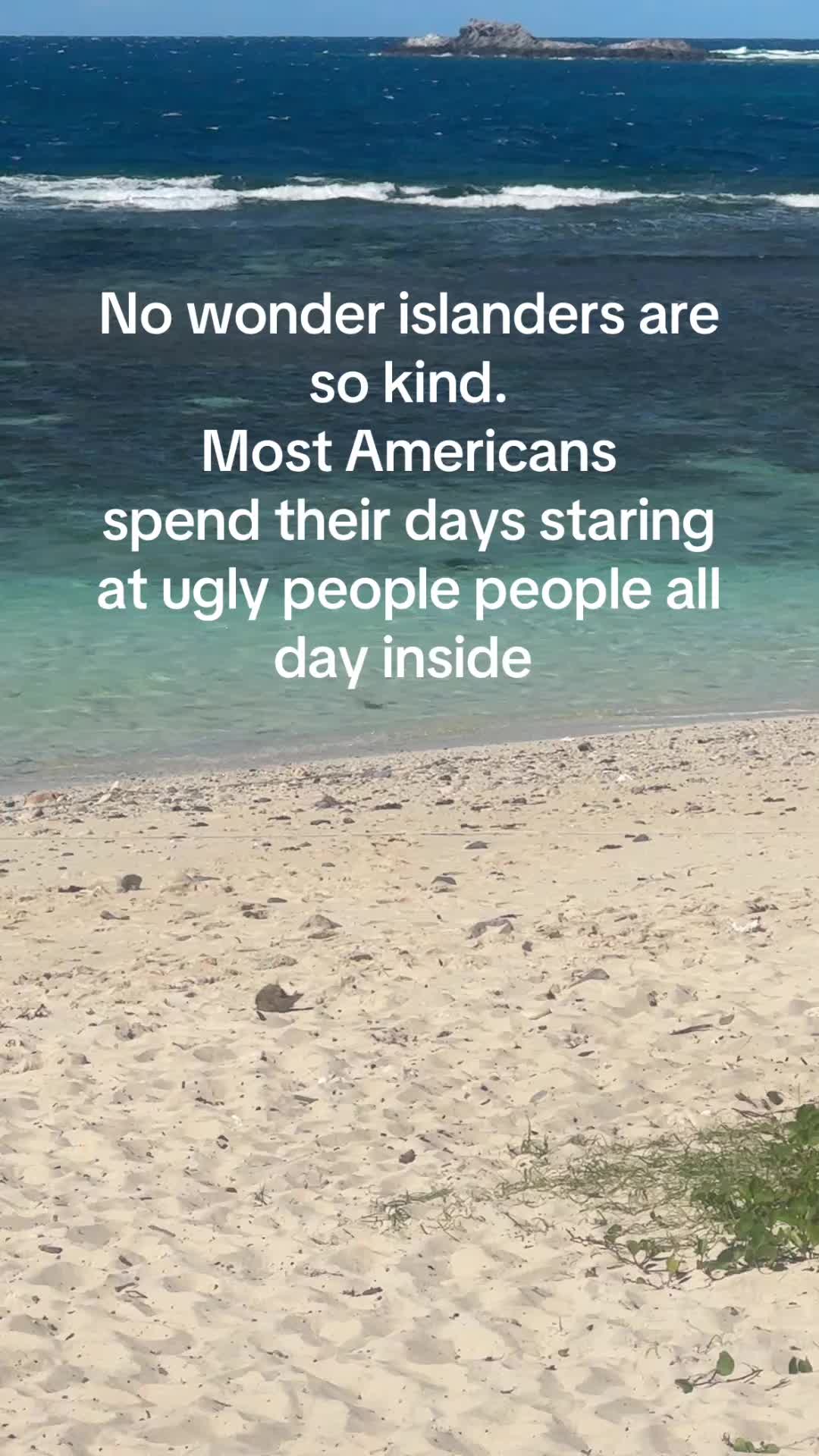 @NoaFox