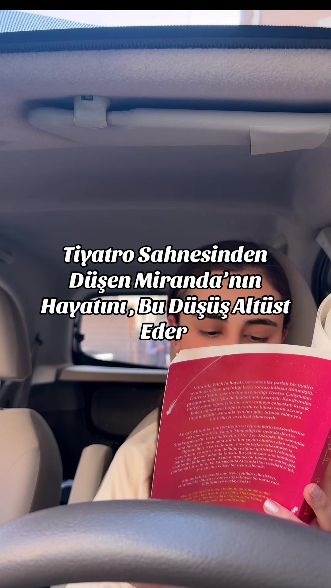 @İstanbul Kedisi