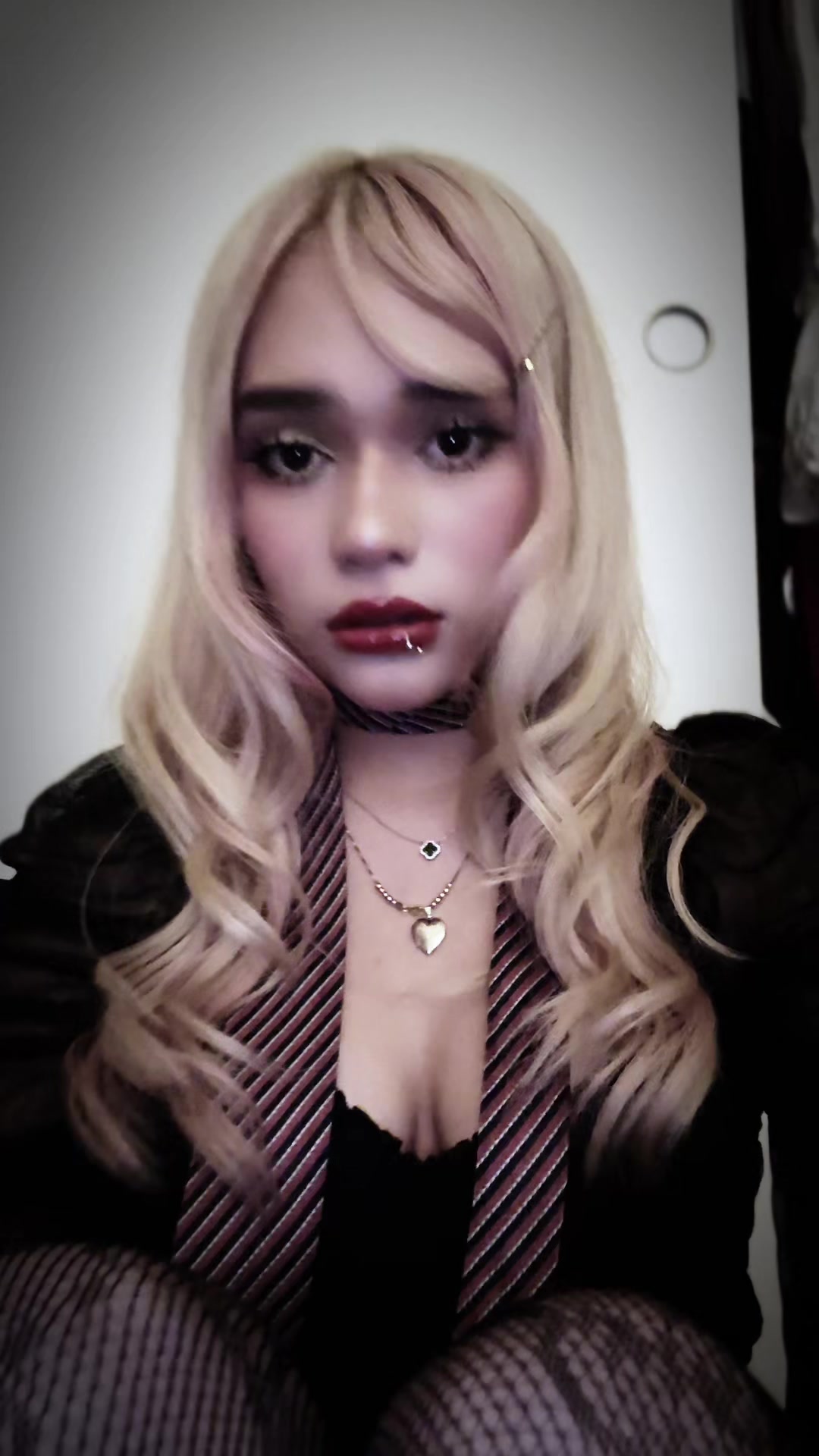 @dinopawwz