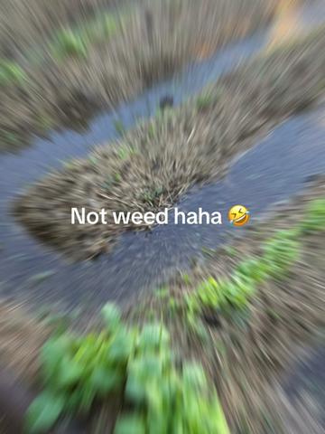 @Kace