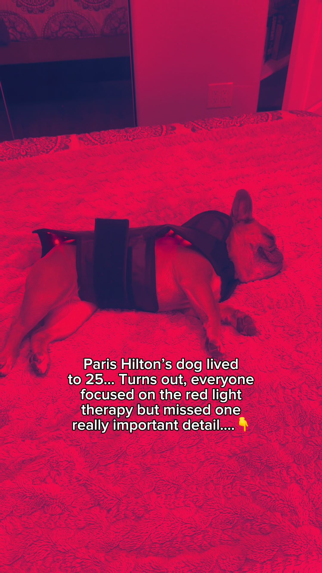 @Somefrenchienamedapollo