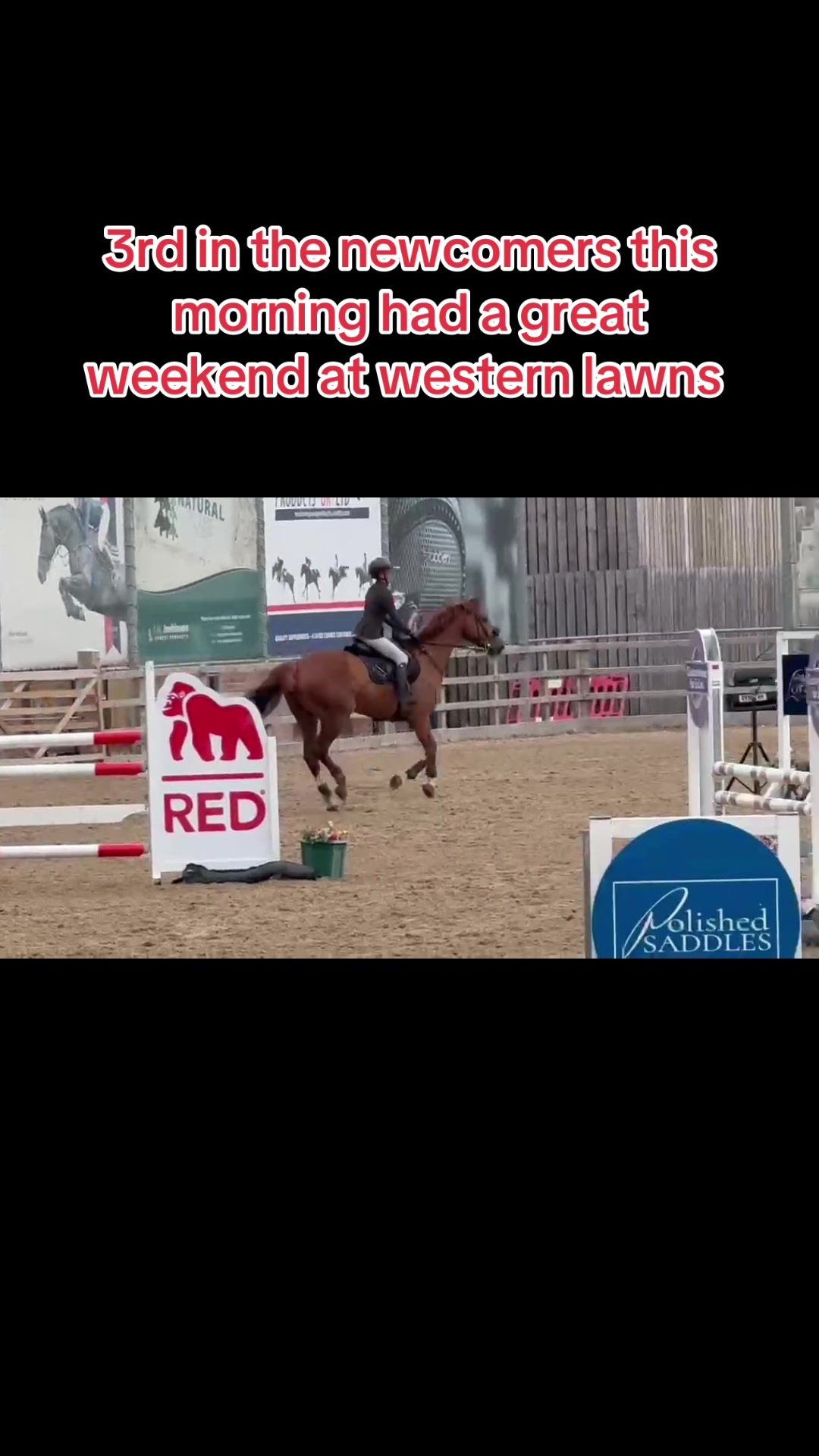 @Ronnie moore's showjumping