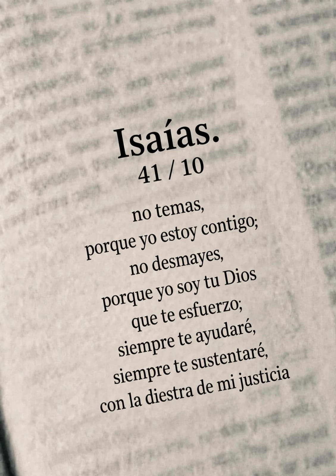 @🎊 Felicidad 🎊