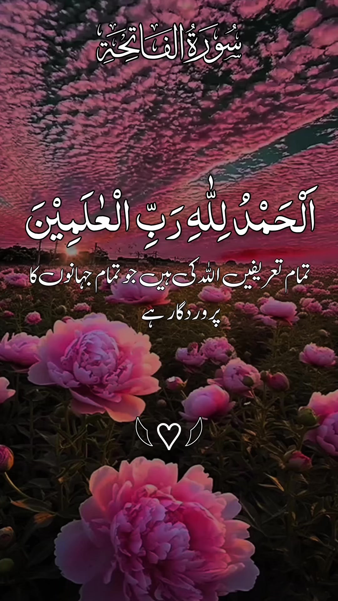@❣️ Words of Allah ❣️