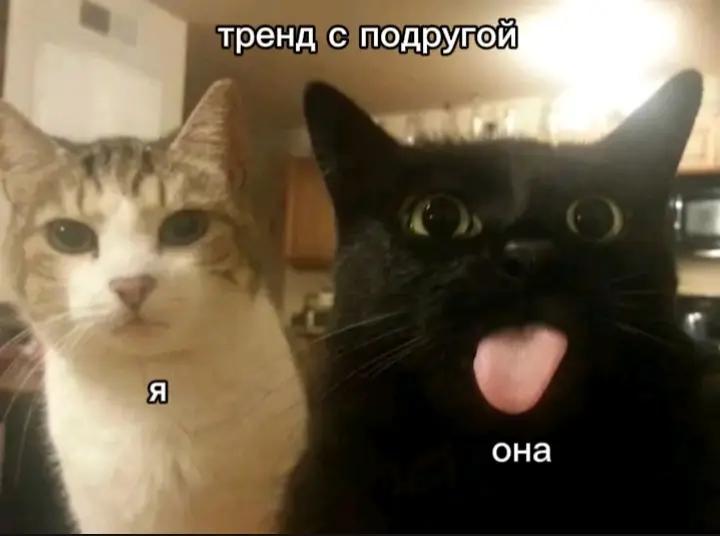 @девка