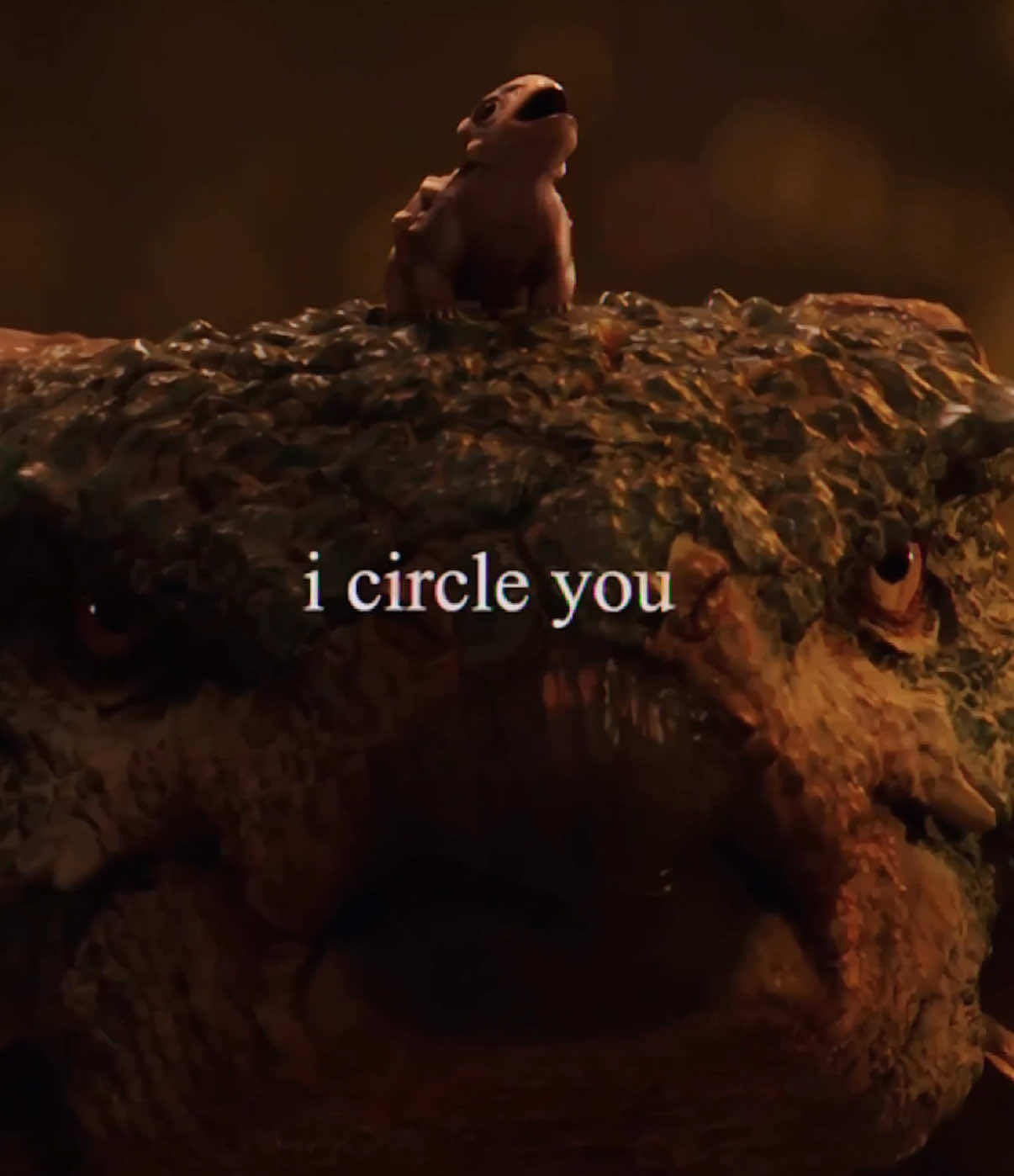 @joey