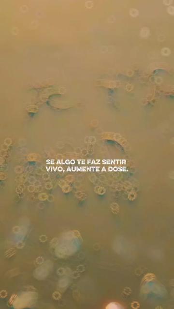 @Janna Bier | T&eacute;c em Cervejaria