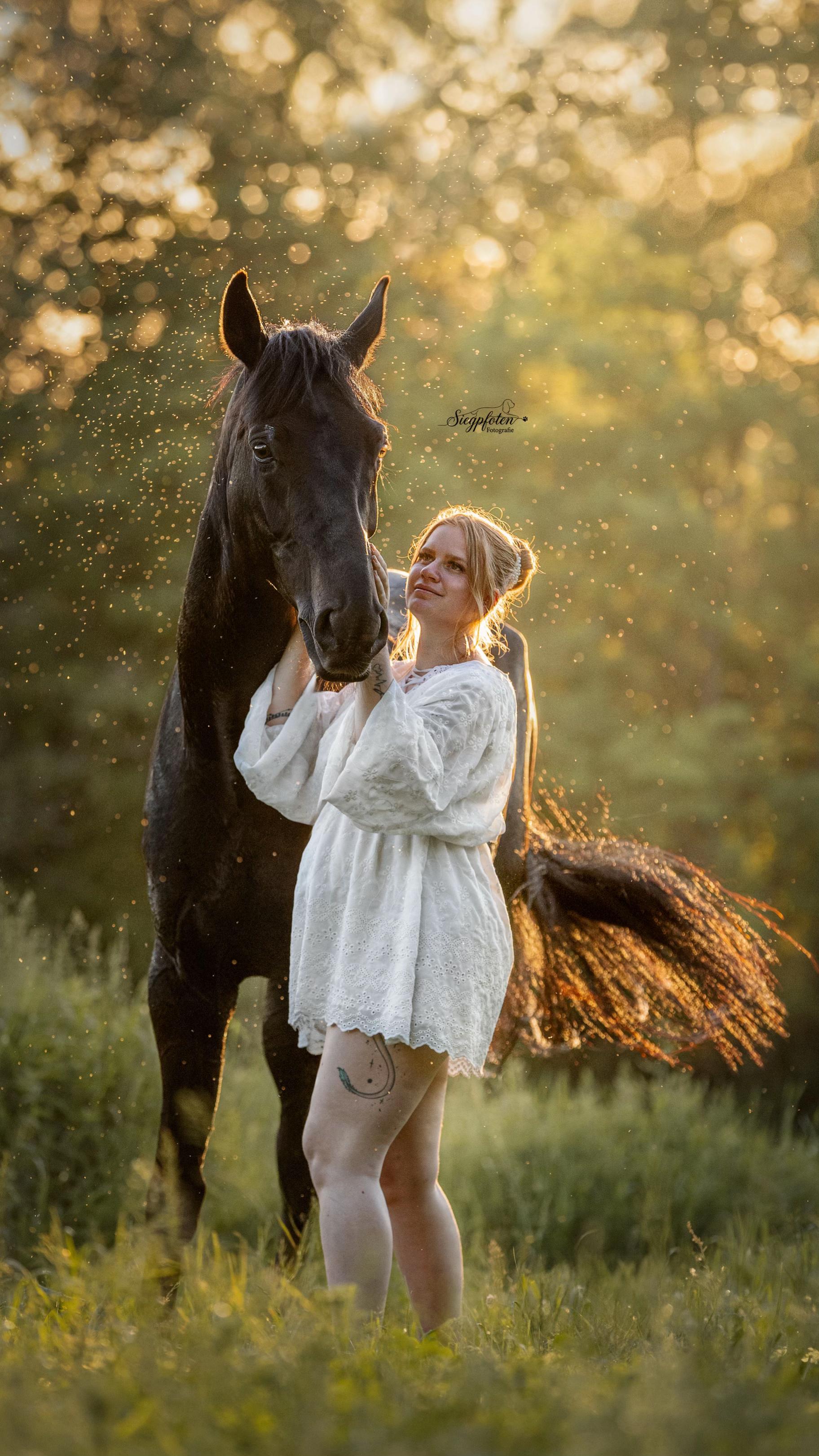 @fuerst_albert