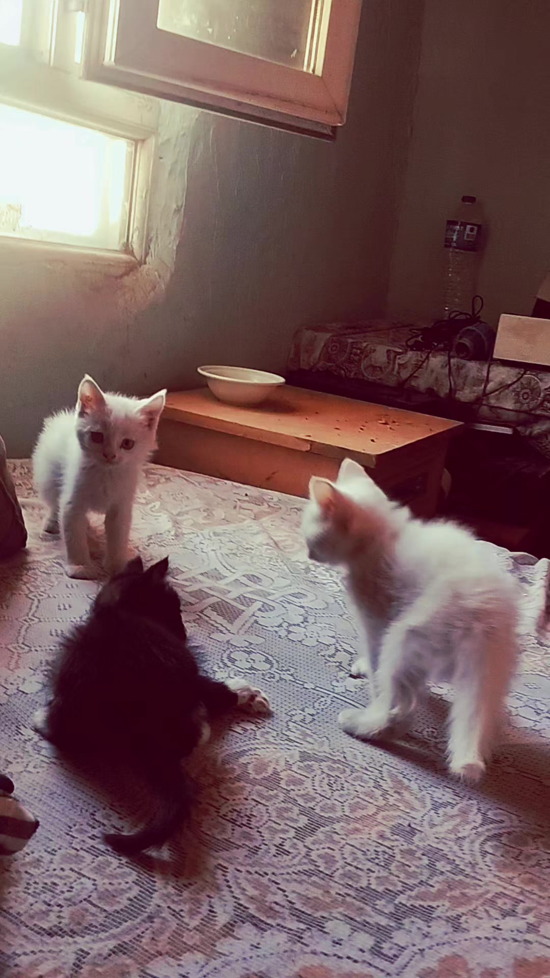 @ℒ𝒶𝓈𝓉𝒹𝒶𝓇𝓀