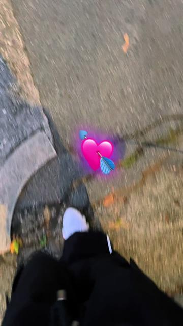 @star.segreta.official