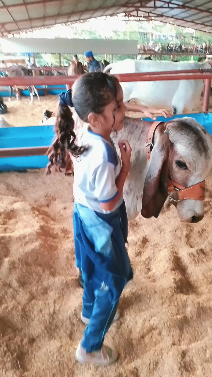 @Marisol Zambrano