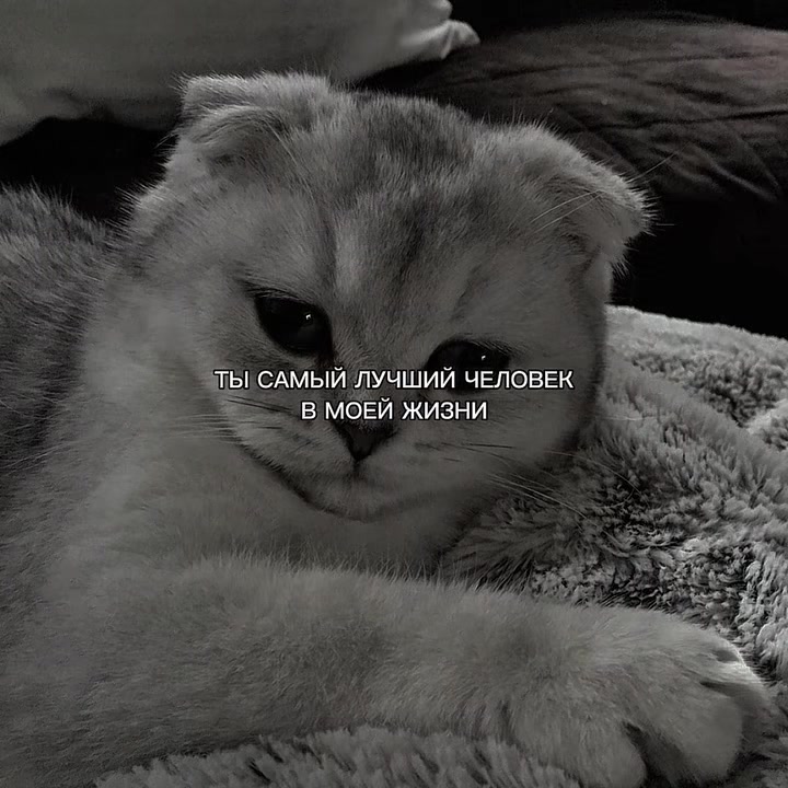 @ХХИКА
