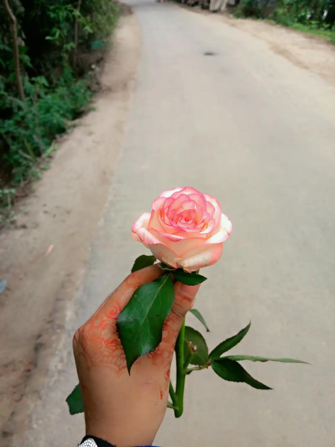 @🍒♡𝔸𝕍𝔸♡Ⱥ🕊️