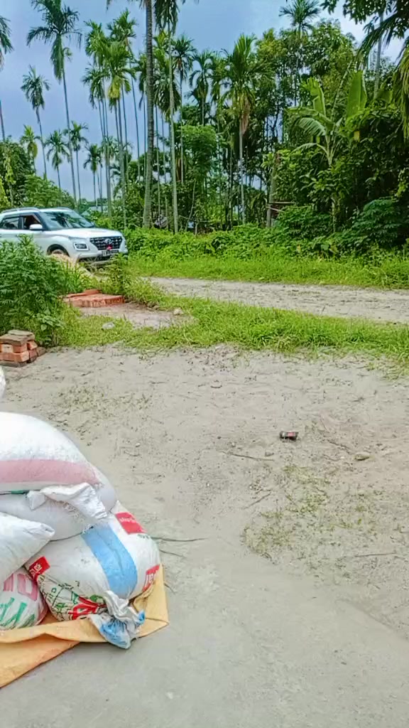 @जानुका बाँस्कोटा