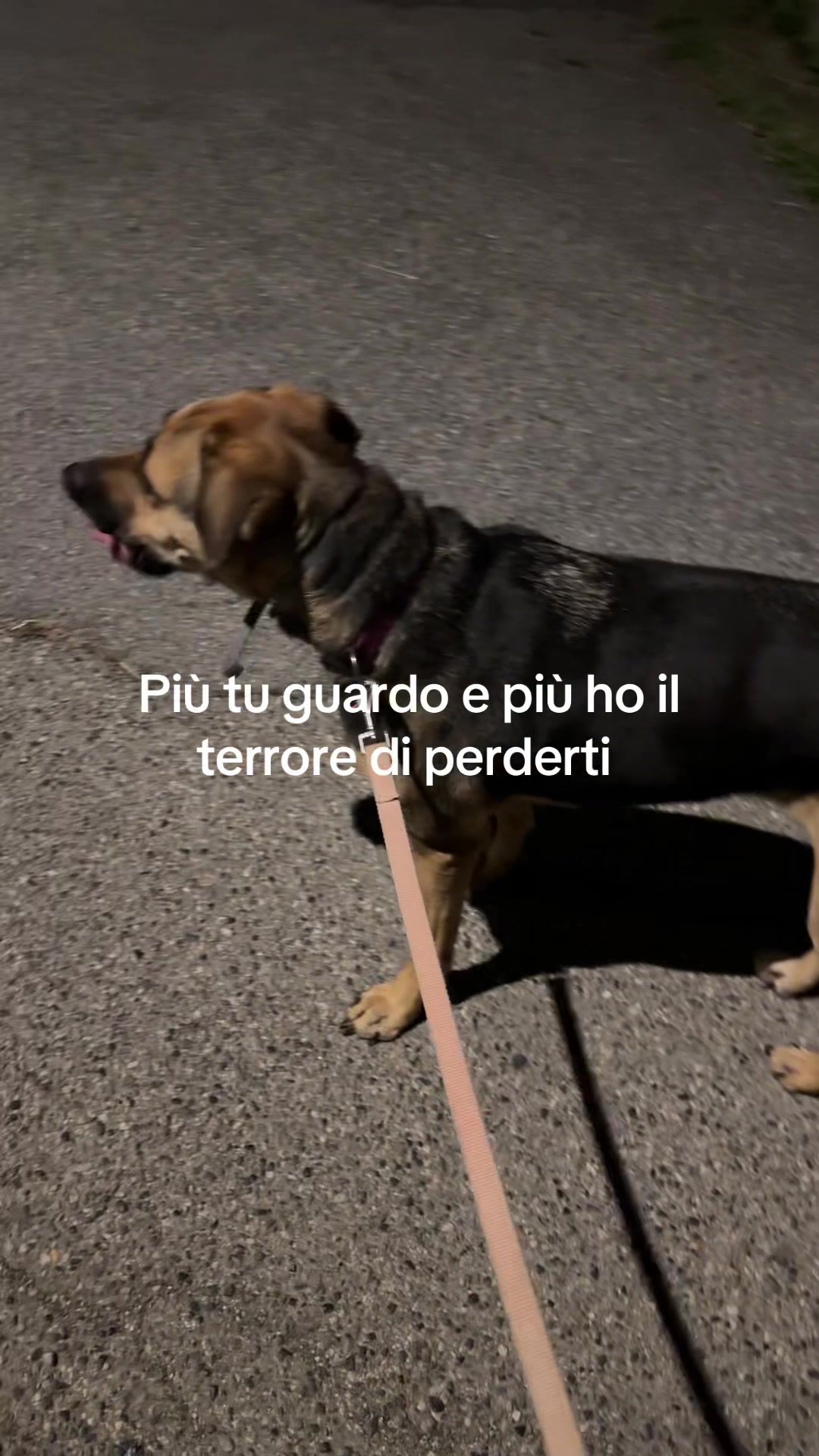 @Elisa Pavignano