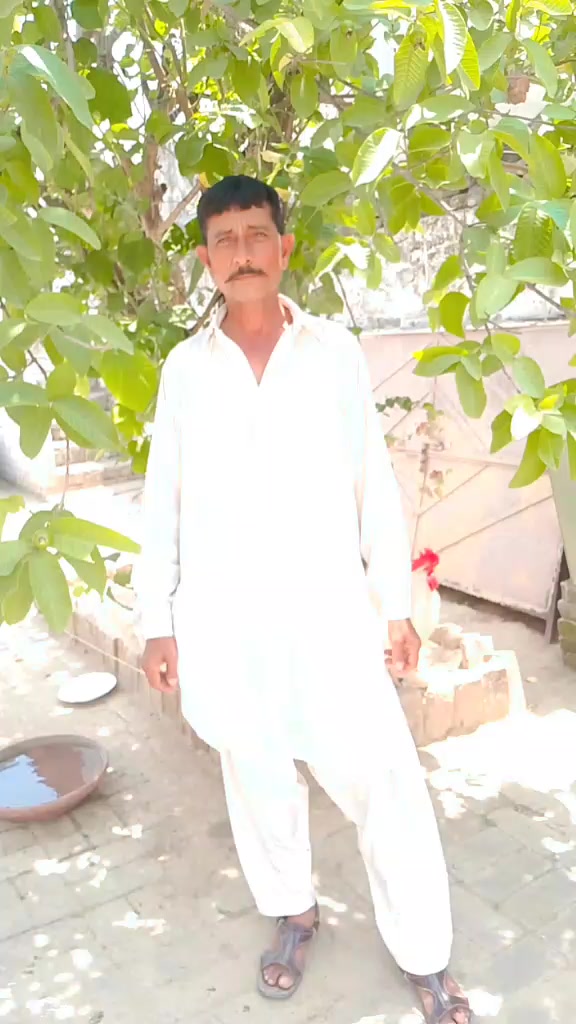 @sajjid sajjid 060