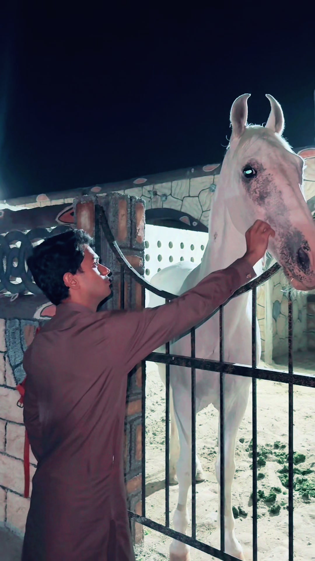 @Hassan_malik444