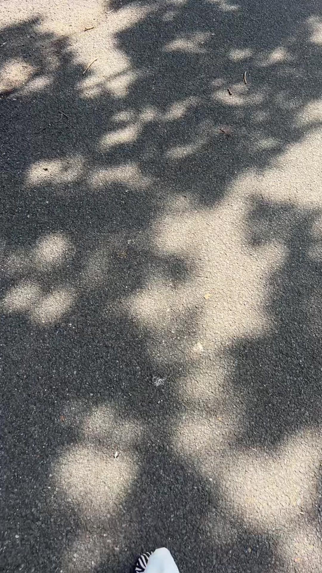 @꧁ֆɦǟɦ ռɨ ɢ꧂