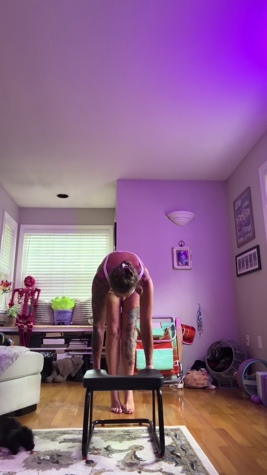 @gardengirl8440