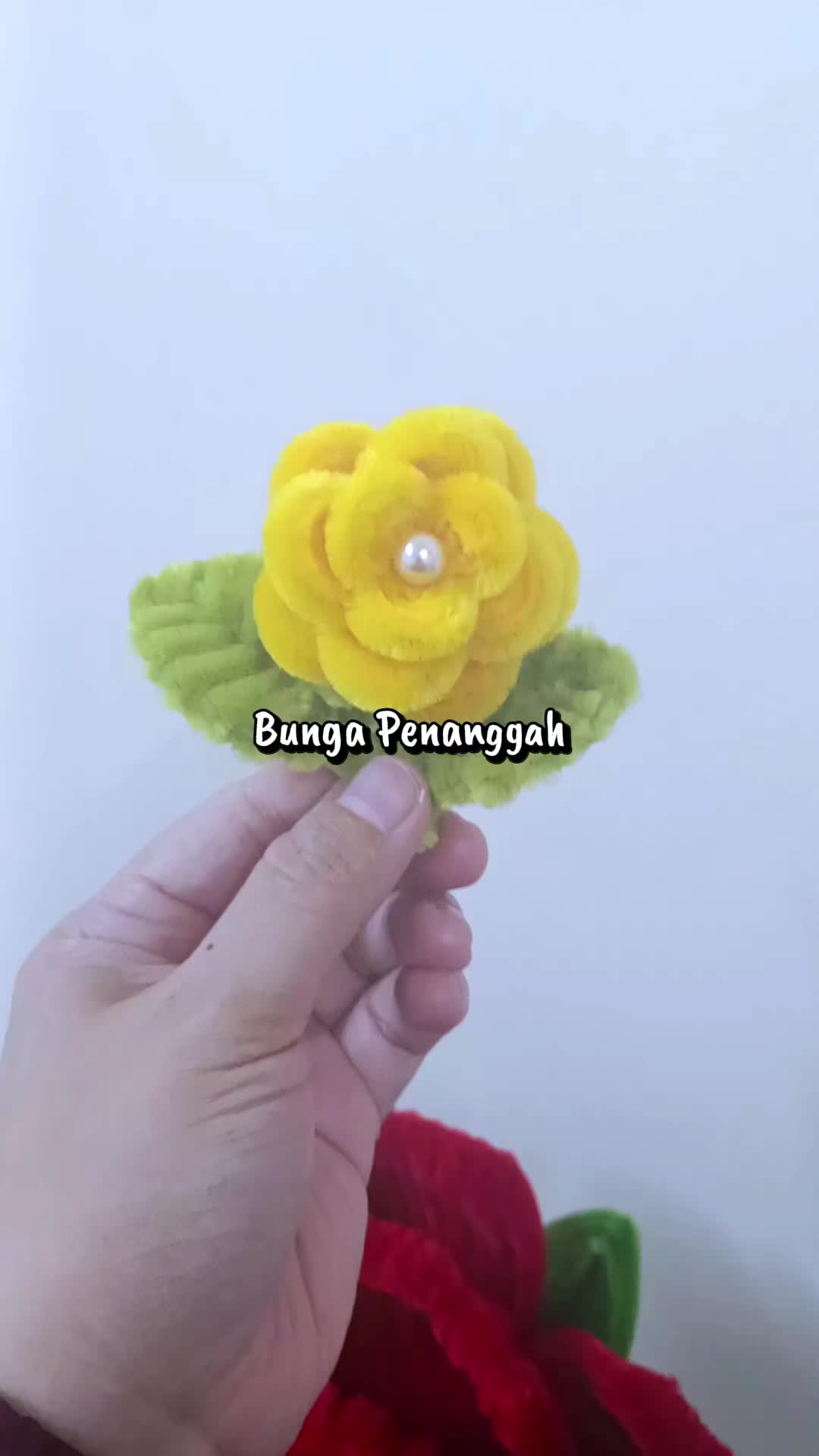@Ayu ShafeezA🌷