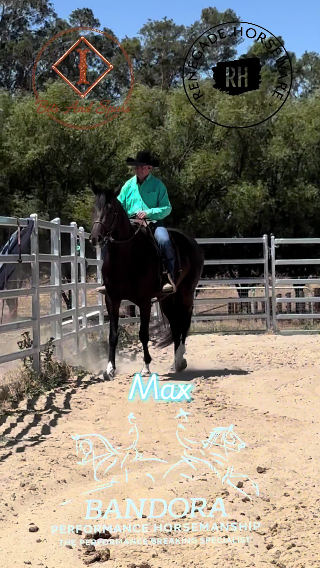 @Bandora_Horsemanship